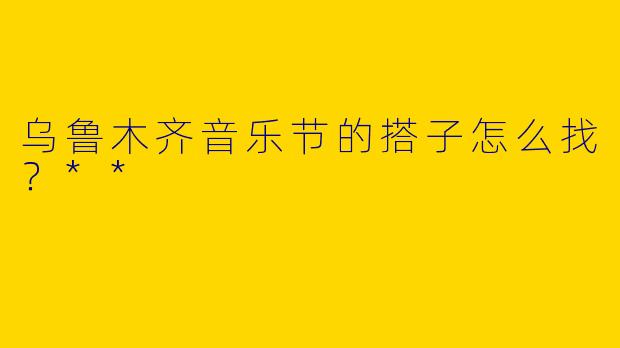 乌鲁木齐音乐节的搭子怎么找？**