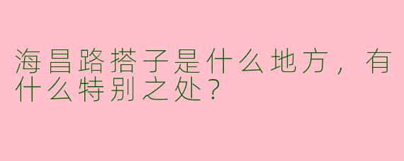 海昌路搭子是什么地方，有什么特别之处？