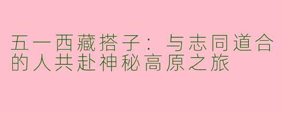 五一西藏搭子：与志同道合的人共赴神秘高原之旅
