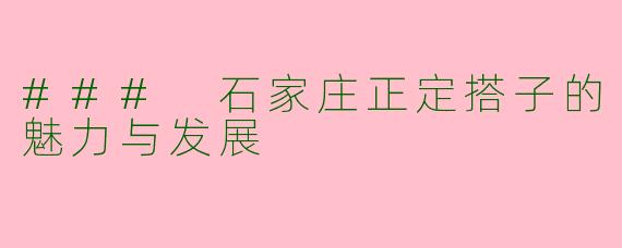 ### 石家庄正定搭子的魅力与发展