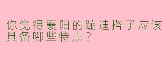你觉得襄阳的蹦迪搭子应该具备哪些特点？