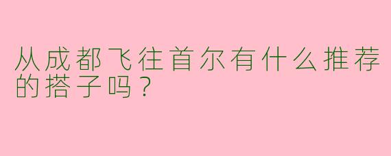 从成都飞往首尔有什么推荐的搭子吗?
