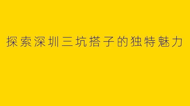 探索深圳三坑搭子的独特魅力