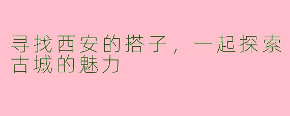 寻找西安的搭子，一起探索古城的魅力
