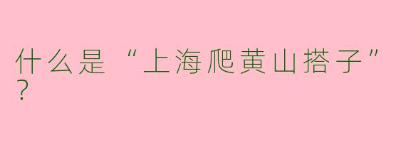 什么是“上海爬黄山搭子”?