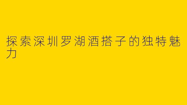 探索深圳罗湖酒搭子的独特魅力