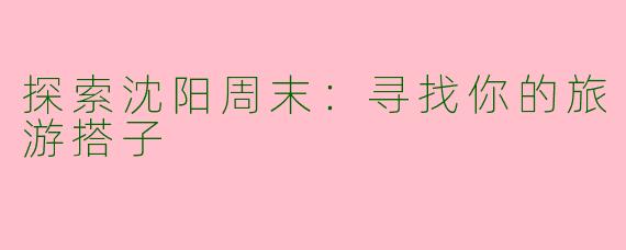 探索沈阳周末：寻找你的旅游搭子