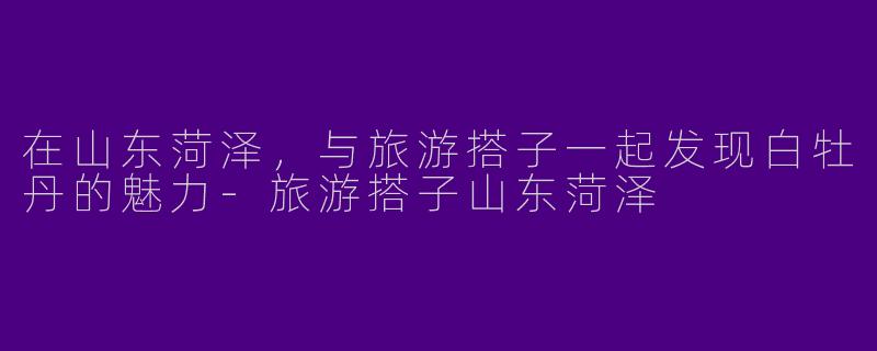 在山东菏泽，与旅游搭子一起发现白牡丹的魅力