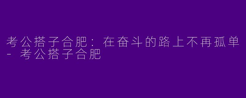 考公搭子合肥：在奋斗的路上不再孤单-考公搭子合肥