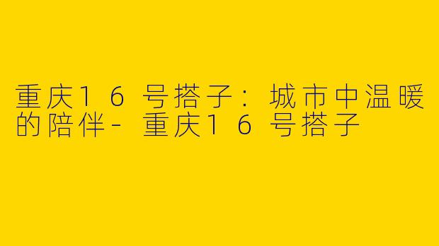 重庆16号搭子：城市中温暖的陪伴-重庆16号搭子