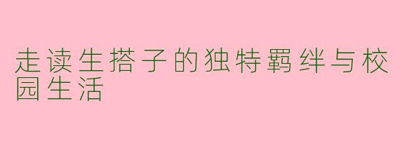 走读生搭子的独特羁绊与校园生活