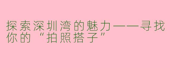 探索深圳湾的魅力——寻找你的“拍照搭子”