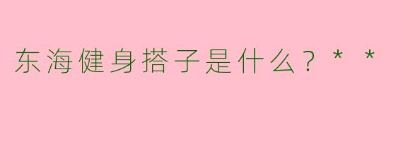 东海健身搭子是什么？**