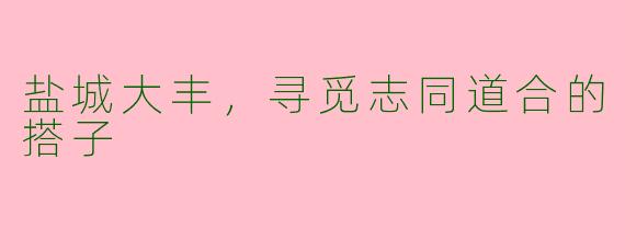 盐城大丰，寻觅志同道合的搭子