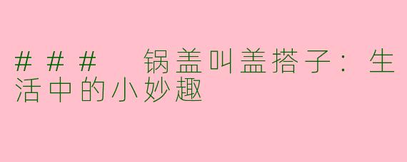 ### 锅盖叫盖搭子：生活中的小妙趣