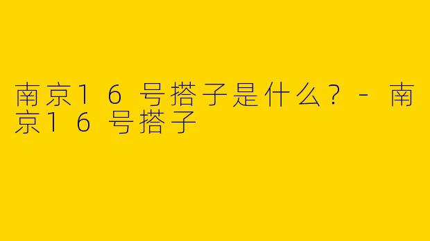 南京16号搭子是什么？