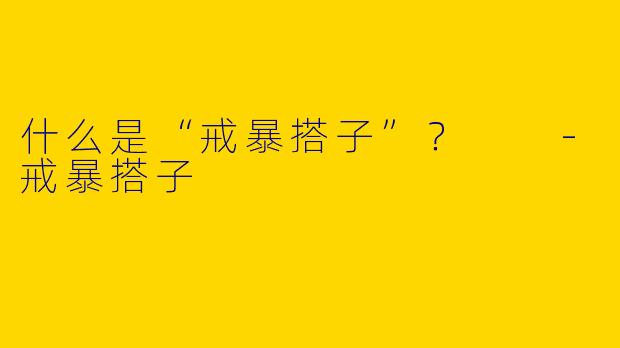 什么是“戒暴搭子”?