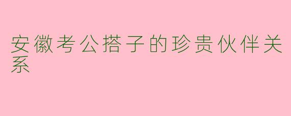安徽考公搭子的珍贵伙伴关系