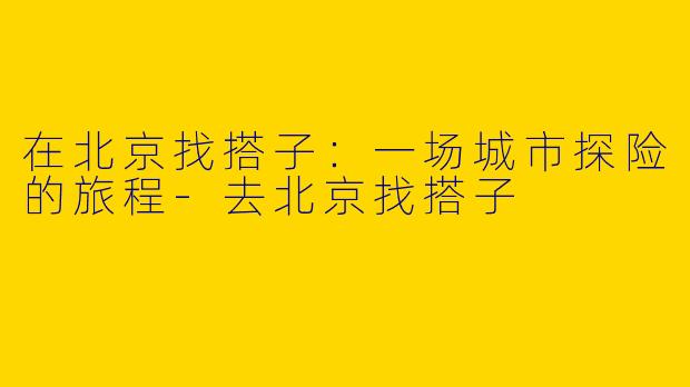 在北京找搭子：一场城市探险的旅程-去北京找搭子