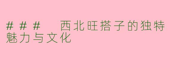 ### 西北旺搭子的独特魅力与文化