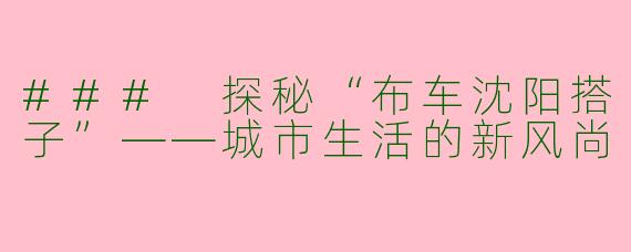 ### 探秘“布车沈阳搭子”——城市生活的新风尚