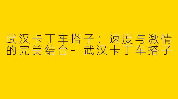 武汉卡丁车搭子：速度与激情的完美结合