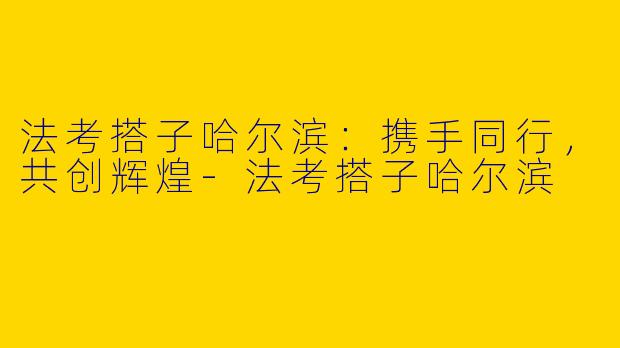 法考搭子哈尔滨：携手同行，共创辉煌