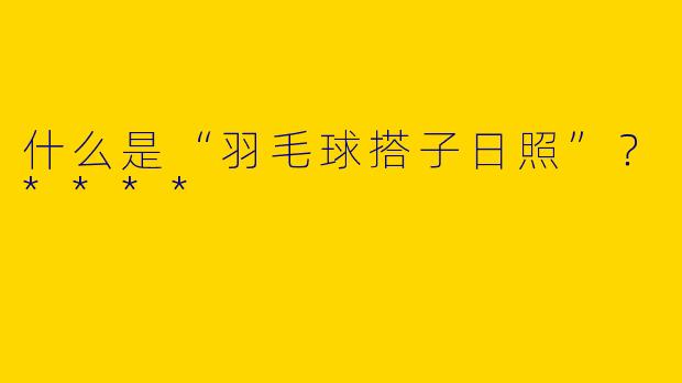 什么是“羽毛球搭子日照”？****