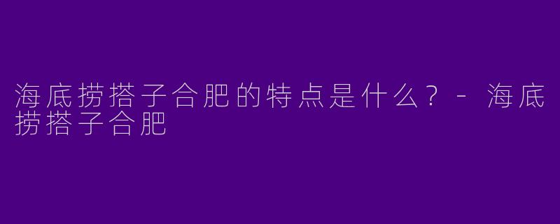 海底捞搭子合肥的特点是什么？