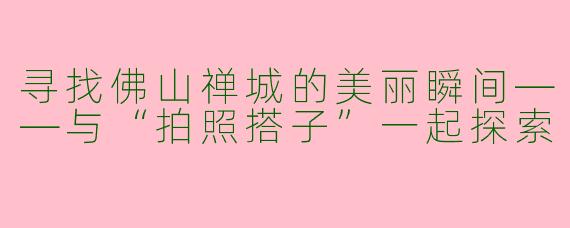 寻找佛山禅城的美丽瞬间——与“拍照搭子”一起探索