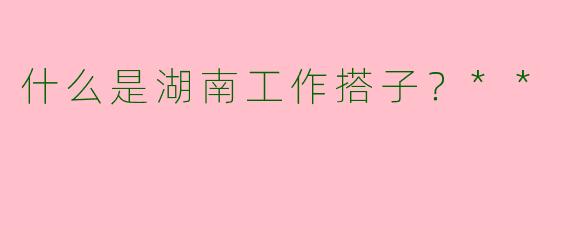什么是湖南工作搭子？**