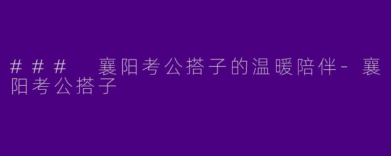 ### 襄阳考公搭子的温暖陪伴