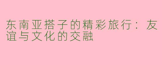 东南亚搭子的精彩旅行：友谊与文化的交融