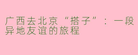 广西去北京“搭子”：一段异地友谊的旅程
