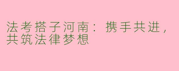 法考搭子河南：携手共进，共筑法律梦想