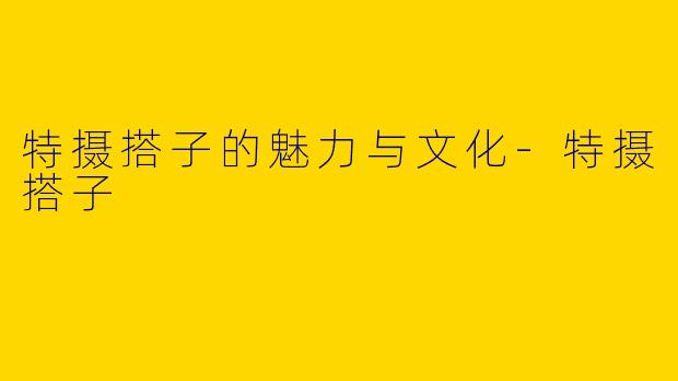 特摄搭子的魅力与文化-特摄搭子