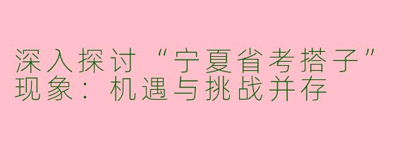 深入探讨“宁夏省考搭子”现象:机遇与挑战并存