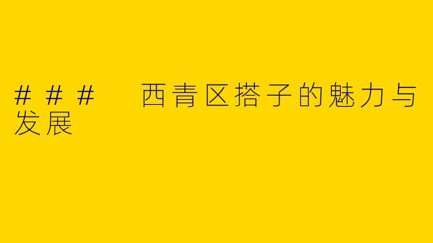 ### 西青区搭子的魅力与发展