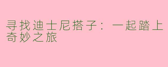 寻找迪士尼搭子：一起踏上奇妙之旅