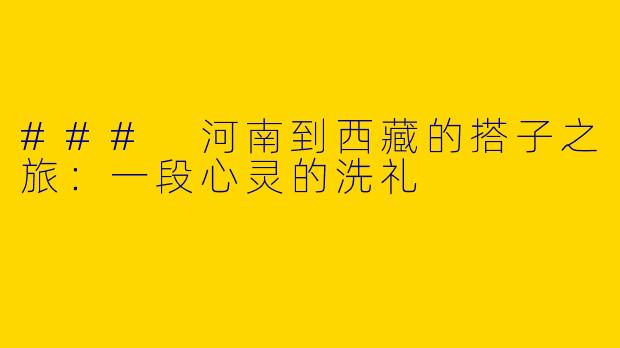 ### 河南到西藏的搭子之旅：一段心灵的洗礼