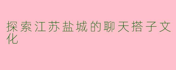 探索江苏盐城的聊天搭子文化