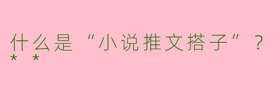 什么是“小说推文搭子”？**