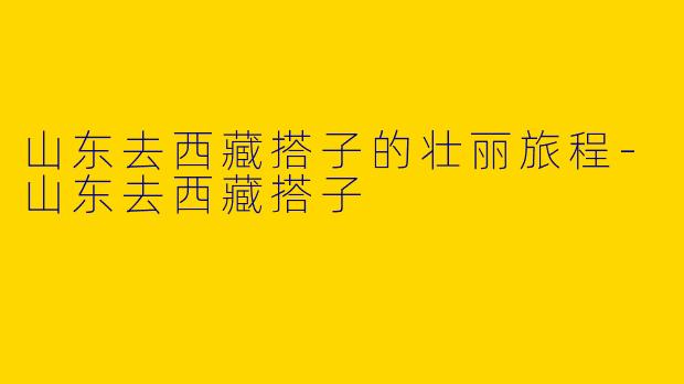 山东去西藏搭子的壮丽旅程