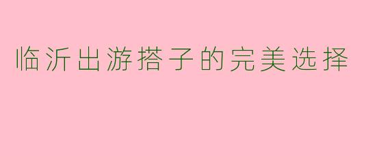 临沂出游搭子的完美选择