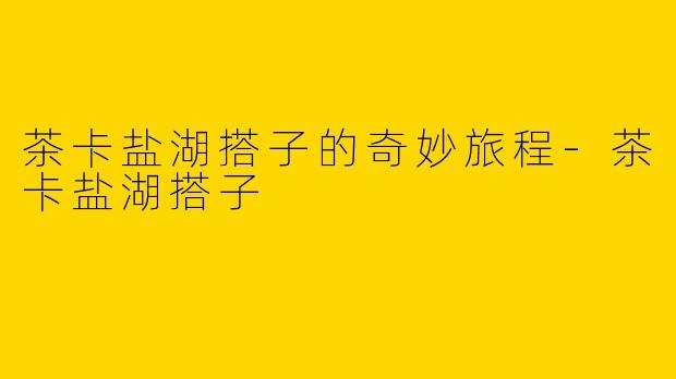 茶卡盐湖搭子的奇妙旅程-茶卡盐湖搭子