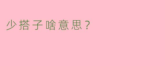 少搭子啥意思？  