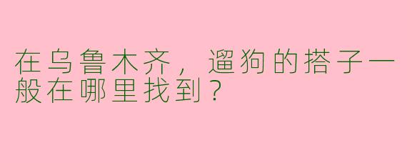 在乌鲁木齐，遛狗的搭子一般在哪里找到？