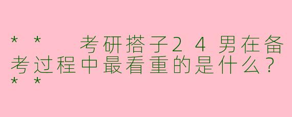 ** 考研搭子24男在备考过程中最看重的是什么？**
