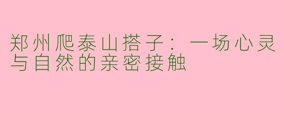 郑州爬泰山搭子：一场心灵与自然的亲密接触