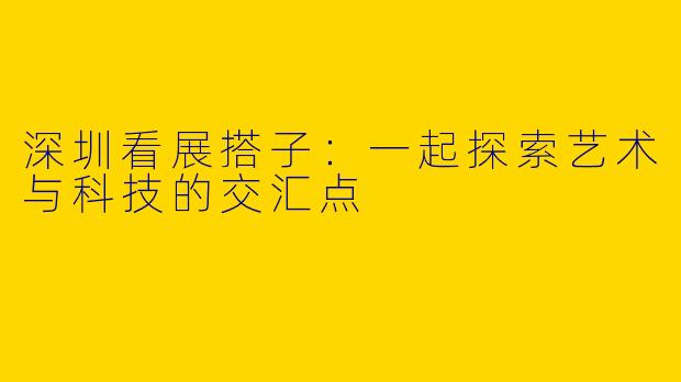 深圳看展搭子：一起探索艺术与科技的交汇点